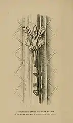 The Wellington lily crucifix