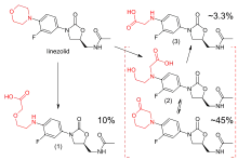 Upper left: structural formula of the unaltered linezolid molecule, with the morpholino group highlighted in red. Lower left: main carboxylic acid metabolite, accounting for 10% of an excreted dose; the morpholine ring has been cleaved at the nitrogen atom. Lower right: structural formulae of two distinct molecules, a carboxylic acid and a lactone, with an equilibrium arrow between them; this metabolite accounts for 45% of a dose. Upper right: structure of a minor carboxylic acid metabolite, which accounts for aroune 3.3% of a dose.