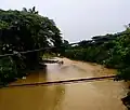 Village locals fishing in the river near Mambau