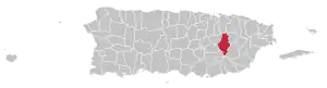 Caguas map