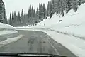 Lolo Pass, Montana side, approaching summit, westbound