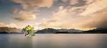 A tree in a lake surrounded by mountains