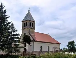 The Catholic Church