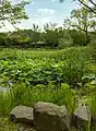 The lagoon/lake in the West Garden in 2021.