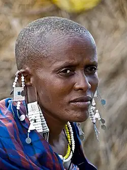 Image 18Maasai peoplePhoto: William WarbyPortrait of a Maasai woman, with shaved head, stretched earlobes, and beaded adornments, typical of the Maasai culture. The Maasai are a Nilotic ethnic group of semi-nomadic people located in Kenya and northern Tanzania. They are among the best known of African ethnic groups, due to their distinctive customs and dress and residence near the many game parks of East Africa. Their primary language Maa (ɔl Maa) is a member of the Nilo-Saharan language family that is related to Dinka and Nuer.More selected pictures