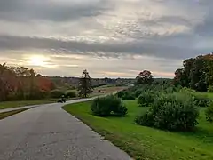 Farm road and apple trees