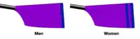 Image showing the rowing club's blade colours