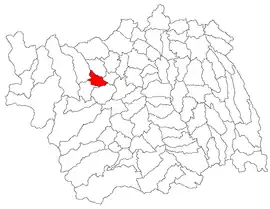 Location in Bacău County