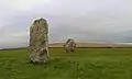 'Male' and 'Female' stones in the Avenue