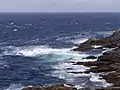 View of the rugged coast around the Head.