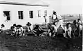 Members of the Harel Brigade planting grass seeds in 1950