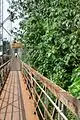 Hanging Bridge to Pullippadam