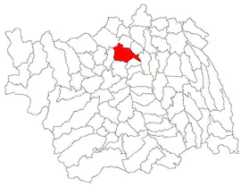 Location in Bacău County