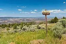 US Forest Service sign (yellow/brown) saying "Maury Mountains Agate Beds". Sign on post on top of hill, looking slightly downward.