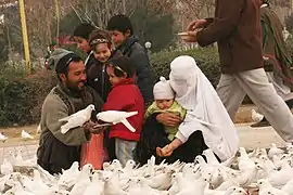 A family feeding the pigeons