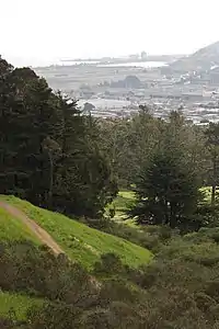 Beyond McLaren Park, a view to Candlestick Point