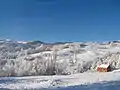 Mountain Medvednik in winter