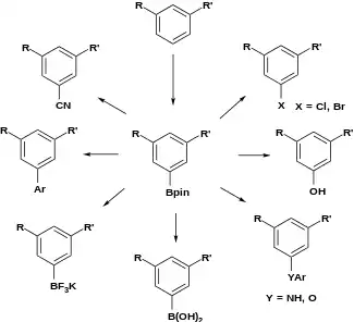 Meta-functionalization of arenes through C–H borylation