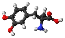 Ball-and-stick model of the methyldopa molecule