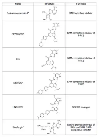 EZH2 Inhibitors