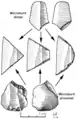 It is possible to form many types of microliths from the same blade