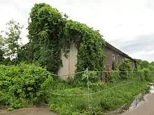 A red wooden building overgrown with plants