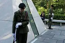 Guard Ceremony, Merrion Square