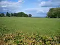 The lawn in July, with a view across the Aarhus Bay.