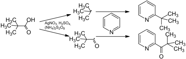 Mechanism of the Minisci-Reaction