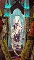 Miraculous Image of Our Lady of Mount Carmel.