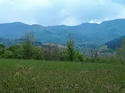 Overlooking the fields in Mlechevo