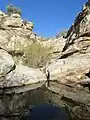 A water pool and a small waterfall along Molino Creek