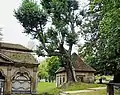 Mausoleum of Jakobi (left) and Gehler (right)