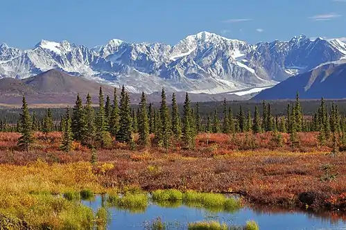 Monahan Flat and the eastern Alaska Range, as seen from the Denali Highway.