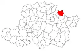 Location in Arad County