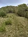 Mt. Tavagnone, slopes of Mt. Gàs, Orto locality with the spring near the dry stone wall called "Acqua del Pì" that also waters the underlying watering hole of the Battista Corsetti fund known as "Prandini"