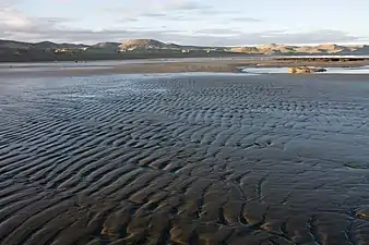 Beach in low tide