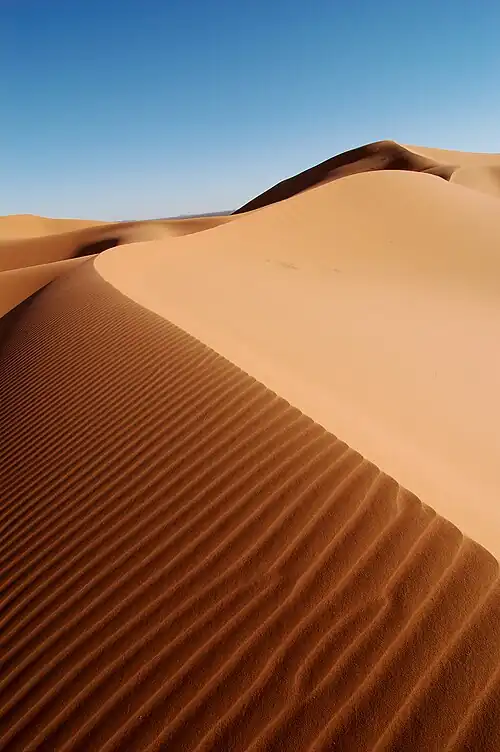 Sand dunes of Erg Chebbi, Morocco