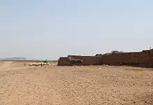 shepherd leaving his sheep outside of Marrakech, Morocco