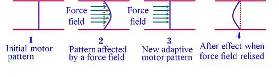 Effects and After-effects