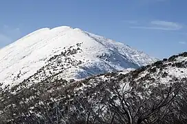 Mount Feathertop