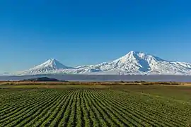 Ararat (Ağrı Dağı)