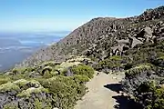 Mount Wellington hiking track and Organ Pipes