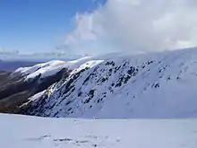 Mount Bogong