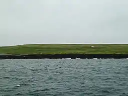 Muckle Green Holm seen from the north-west