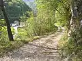 Mount Tavagnone, the forest road from Bollone Mill up to Mount Tavagnone built in the 1970s by ERSAF Lombardy