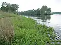 The mouth of the Murg near Steinmauern