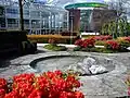 Fountains and flowers