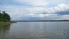 Muskallonge Lake shoreline