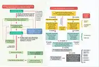 Thailand National List of Essential Medicines Process Flowchart